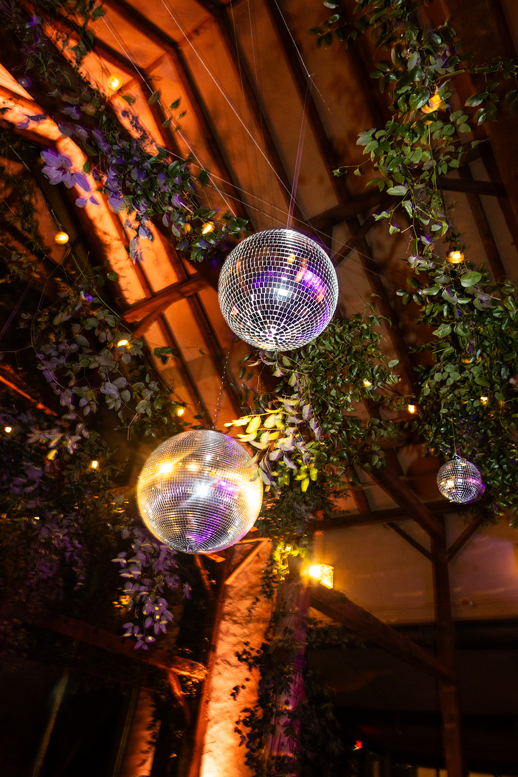 Barr Mansion Wedding Photos reception
